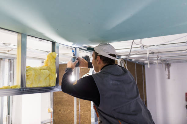 Best Blown-in Insulation in Burlington, NC