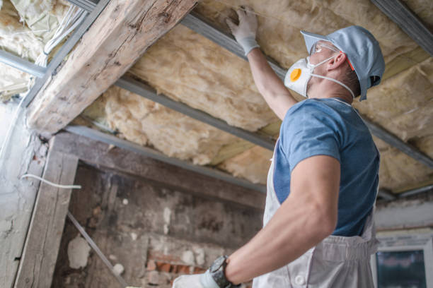 Best DIY Insulation Kits and Guidance in Burlington, NC